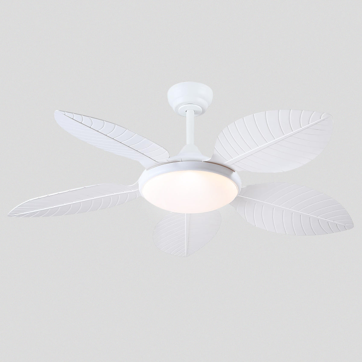Ceiling Fan Palm Leaf Ceiling Fan 6 Speeds Reversible Ceiling Fans with Lights 48"