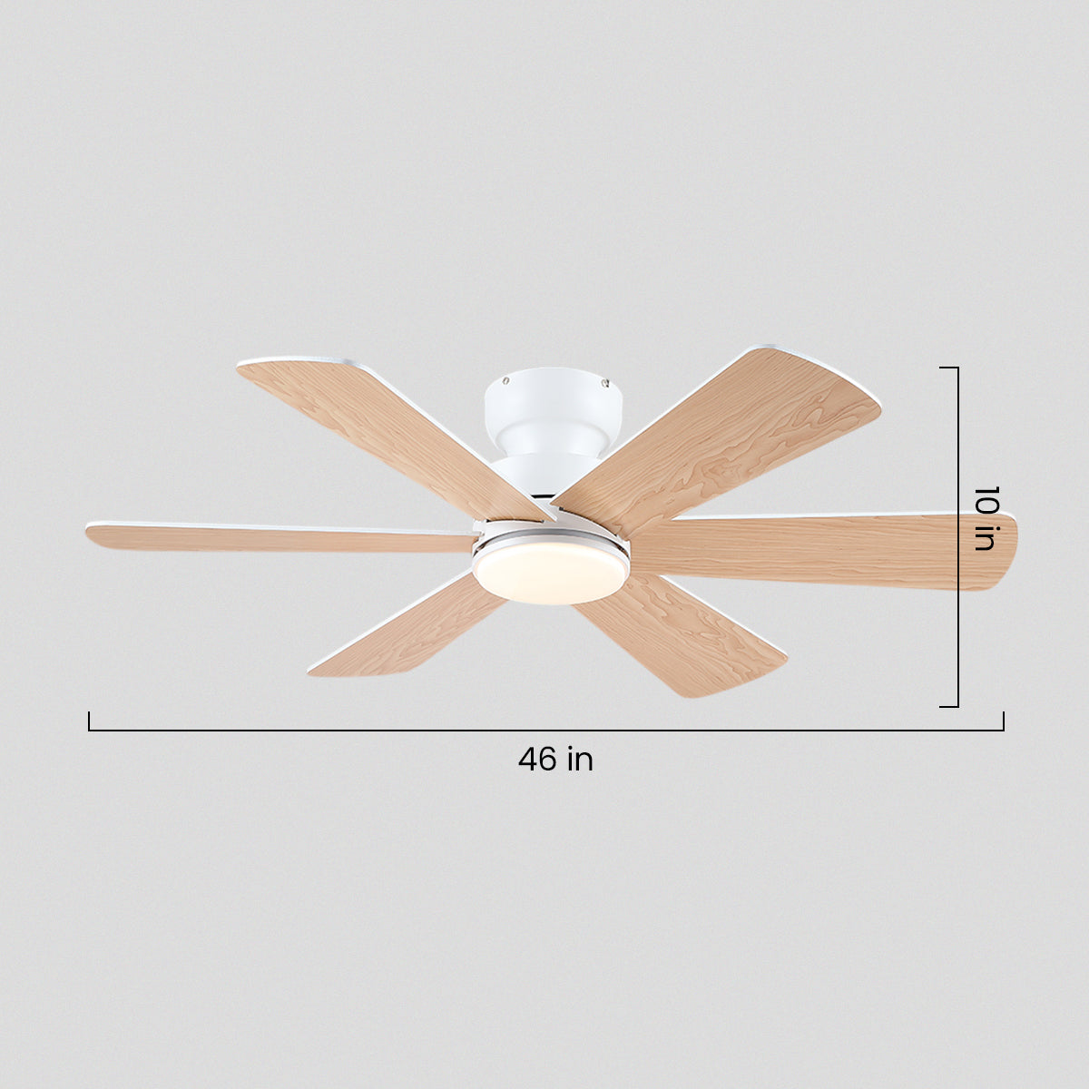 Celestial Wind Ceiling Fans with Lights