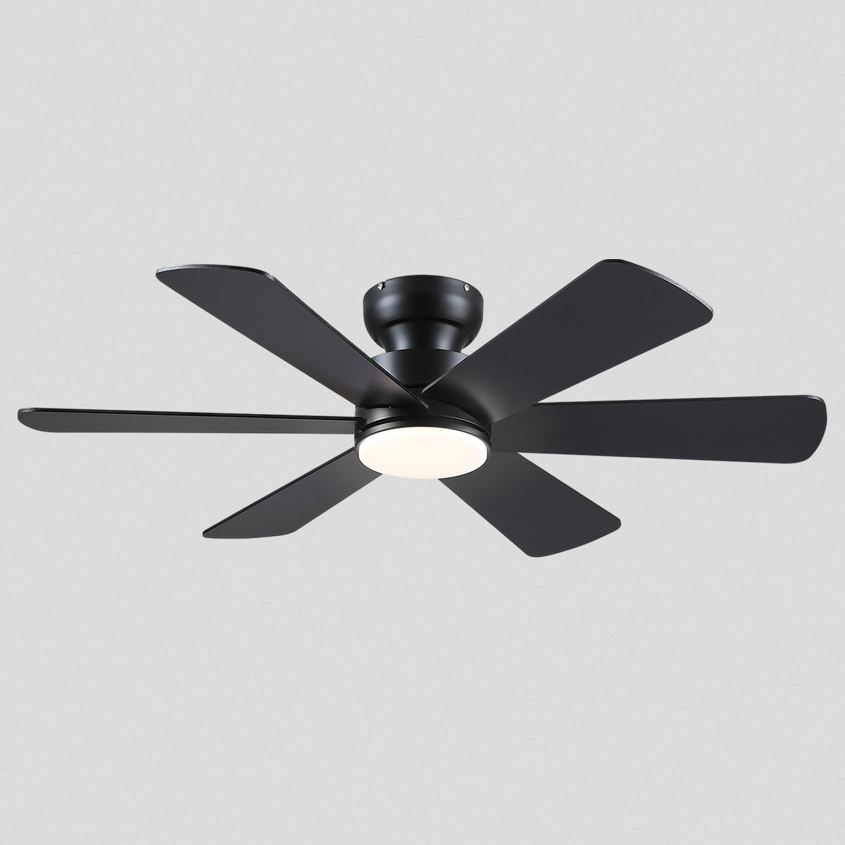 Celestial Wind Ceiling Fans with Lights