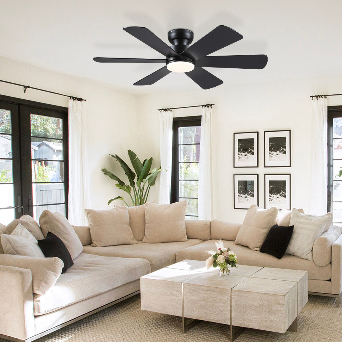 Celestial Wind Ceiling Fans with Lights