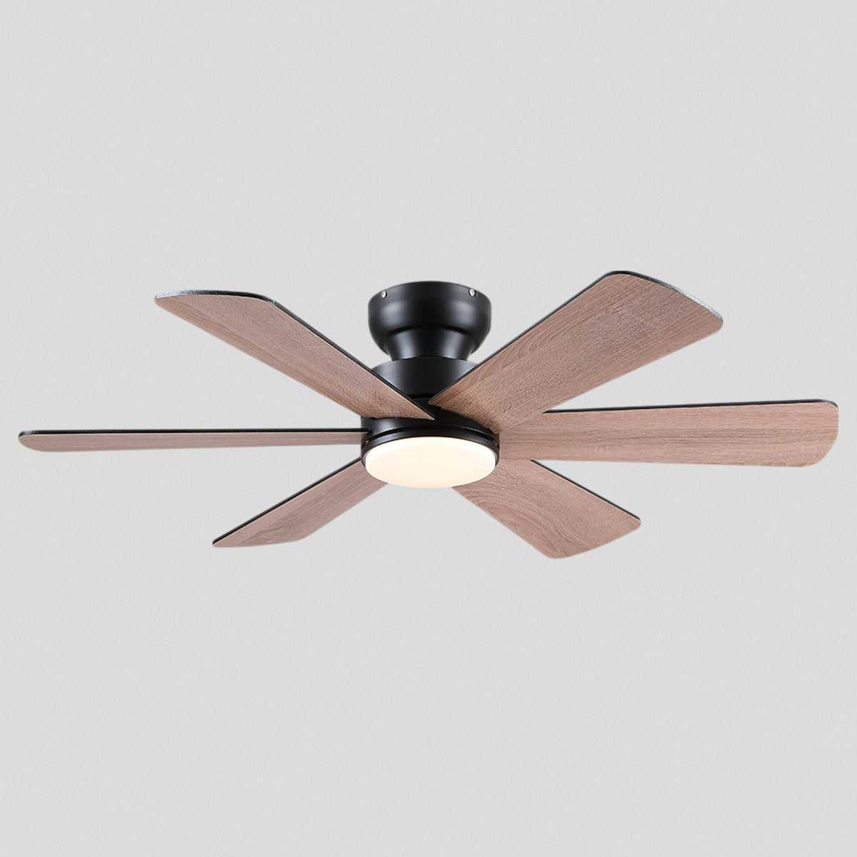 Celestial Wind Ceiling Fans with Lights