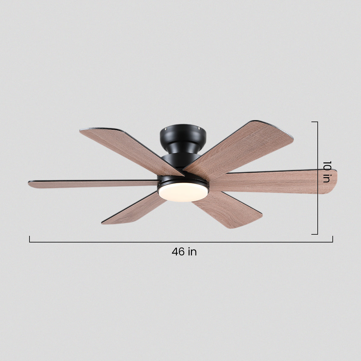 Celestial Wind Ceiling Fans with Lights