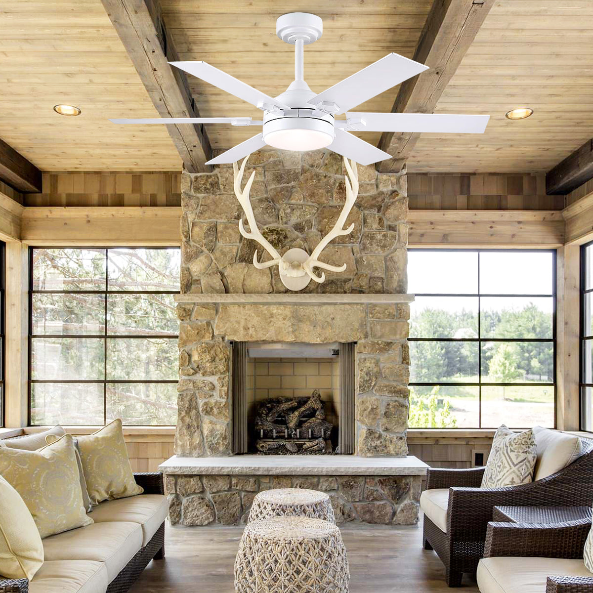 Clifan Ceiling Fans with Lights