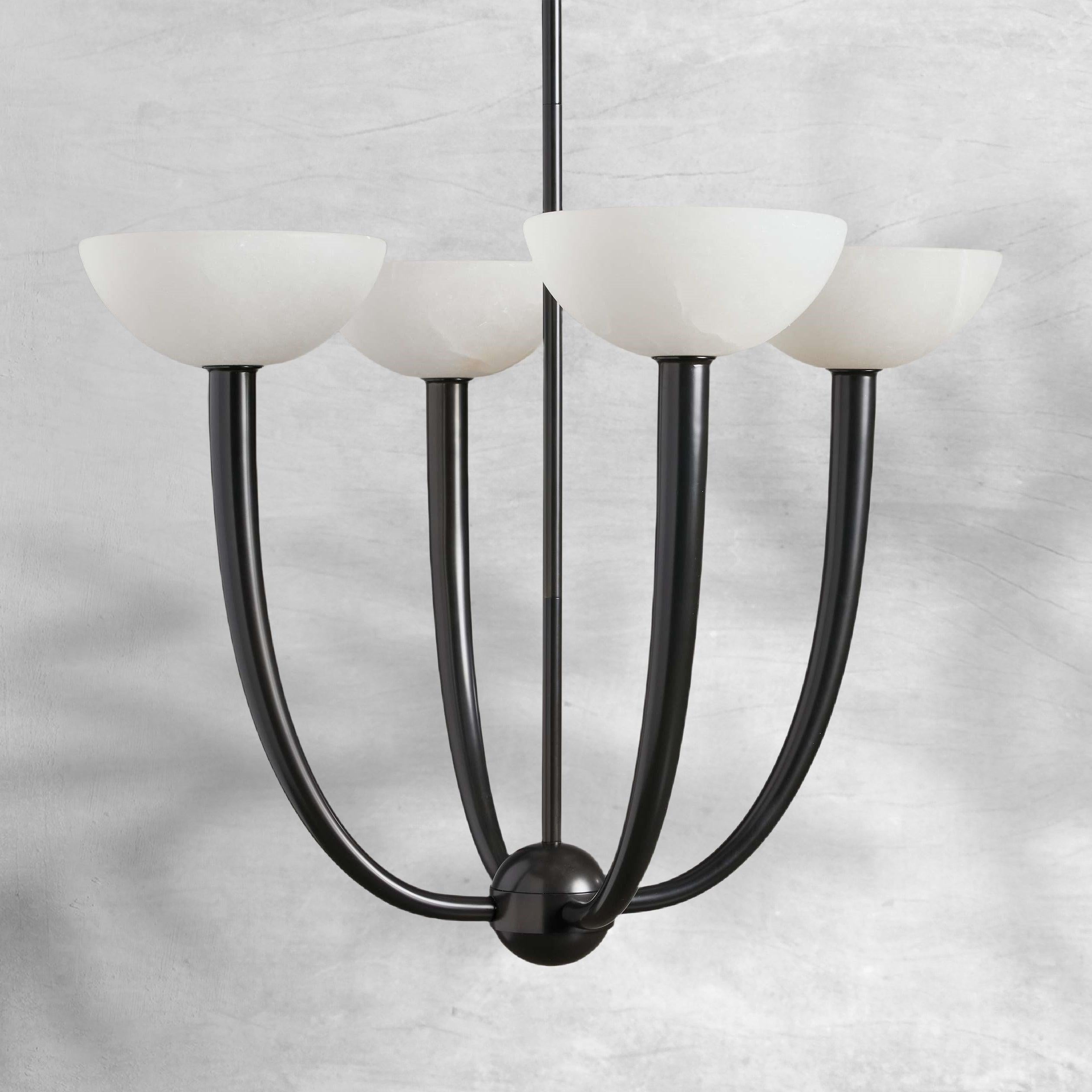 Saguara Chandelier