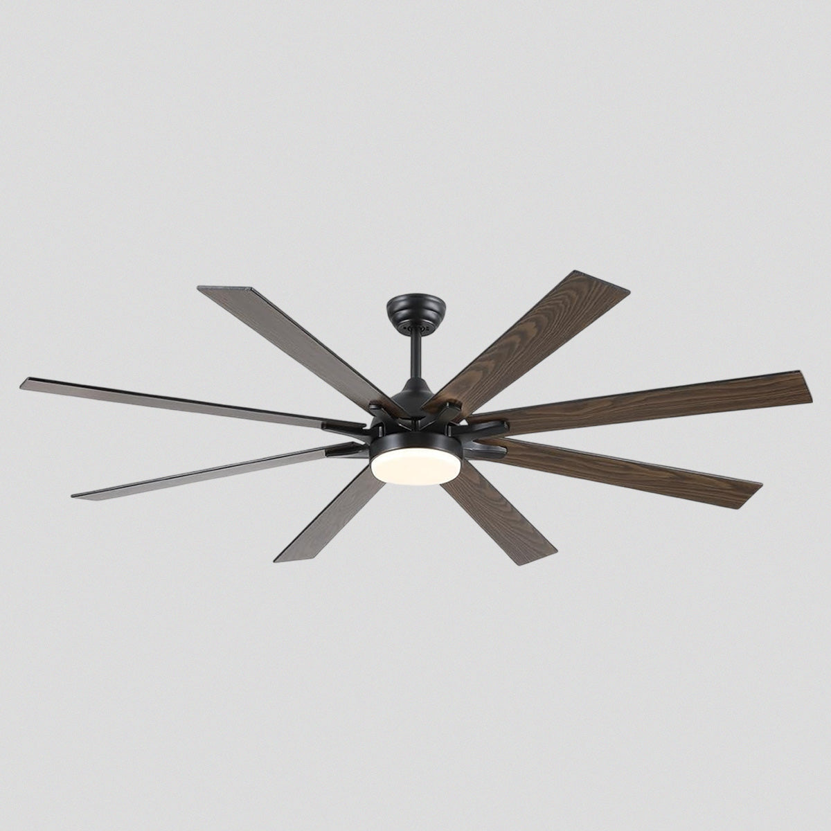Ventora Fans with Lights