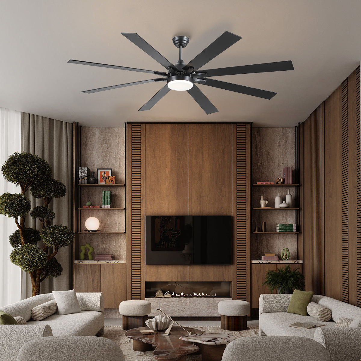 Ventora Fans with Lights