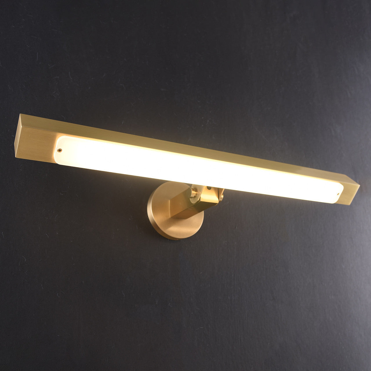 Canner Picture Light