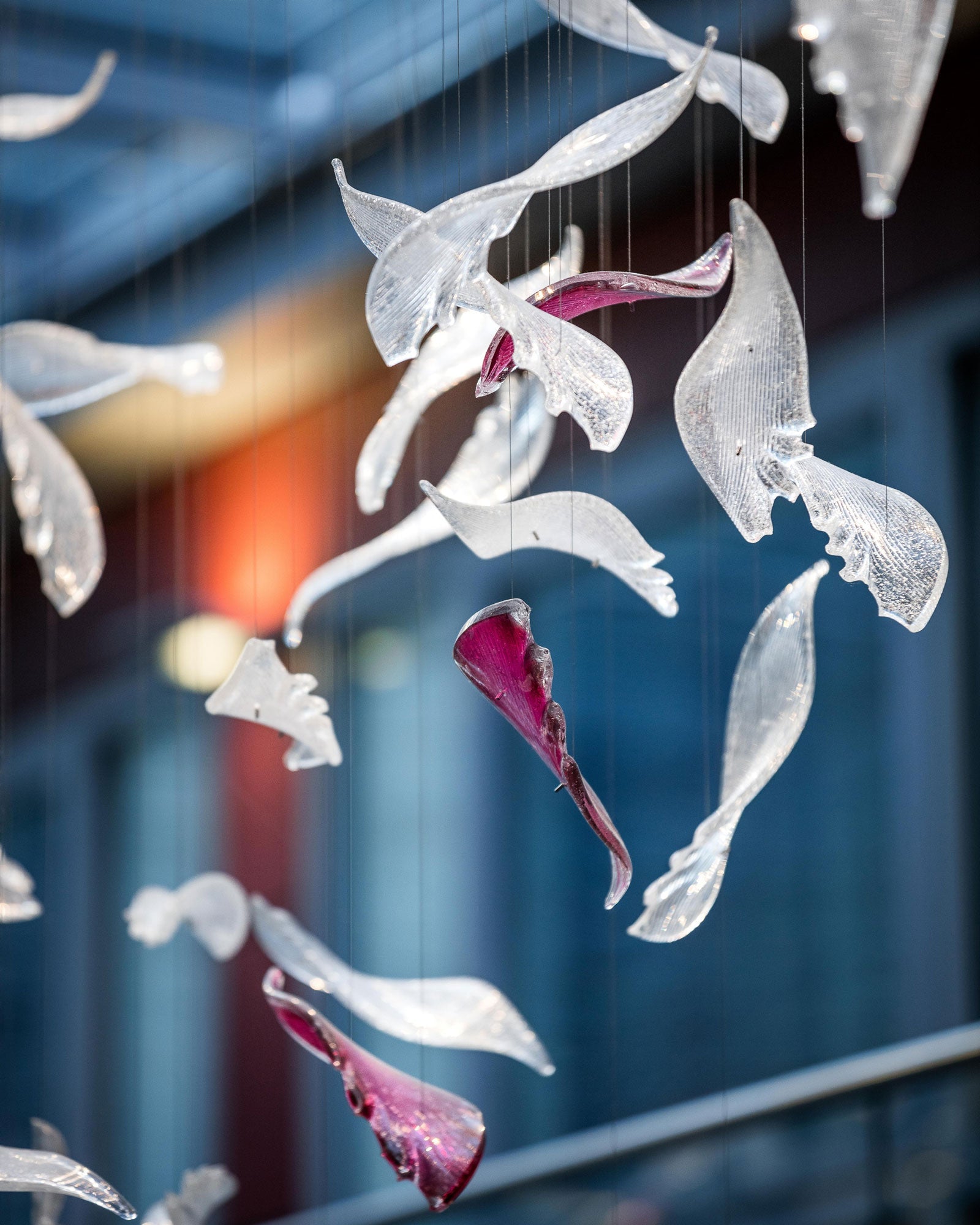Flying Glass Feather Chandelier, Modern Spiral Glass Customisable Chandelier