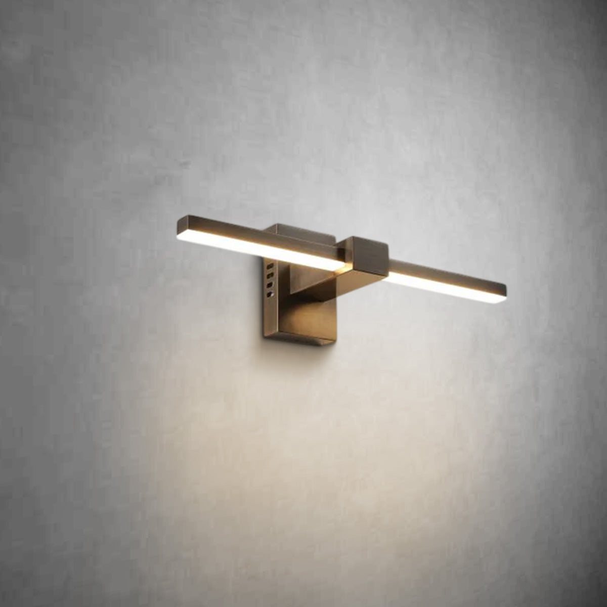 Formal Linear Picture Light