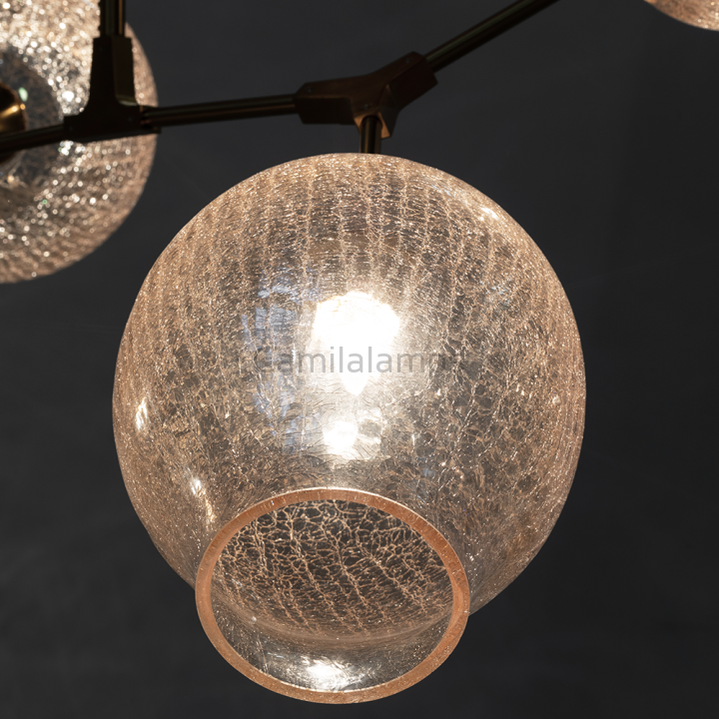 Covington Drop Globe Branching Bubble Chandelier 30''