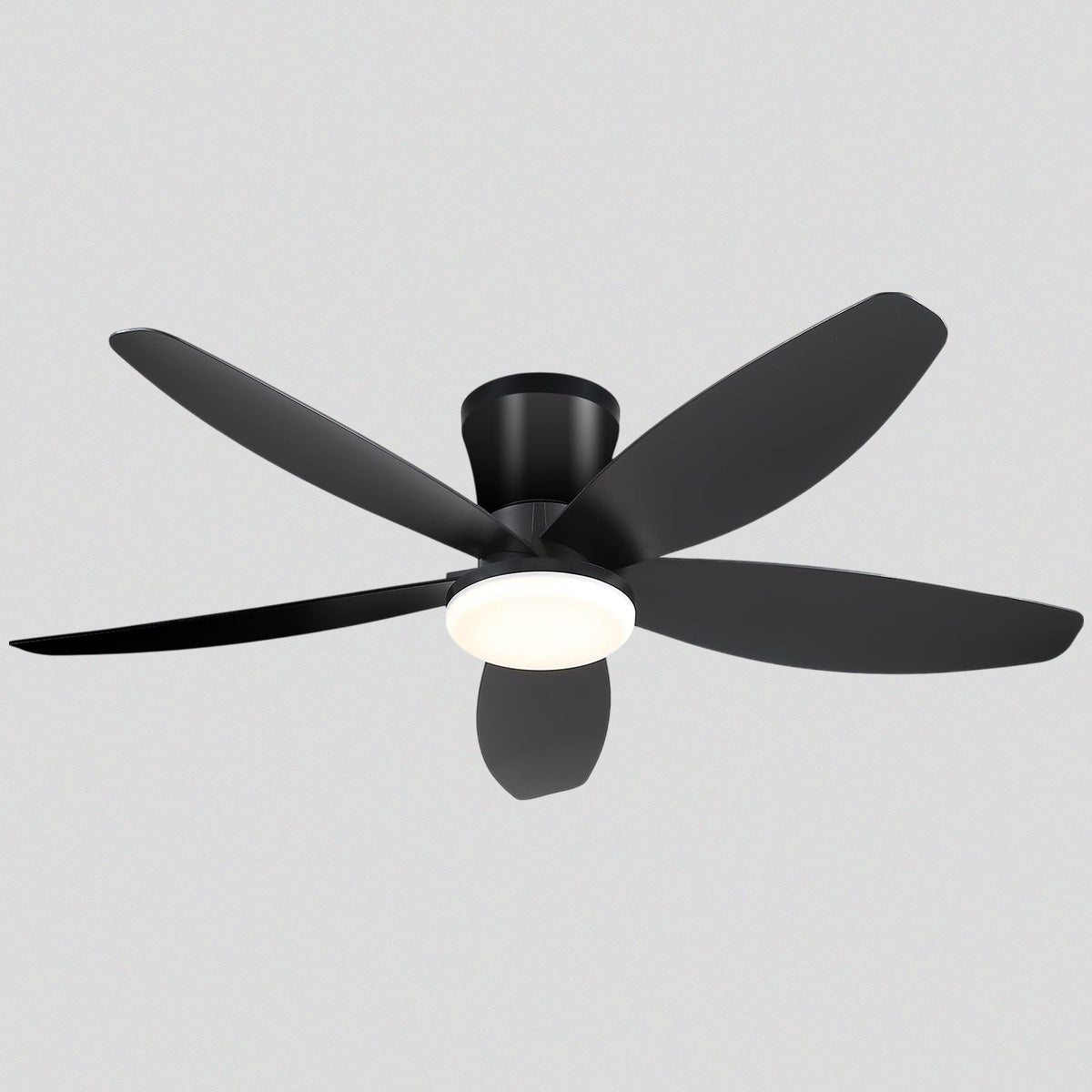 Indoor/Outdoor Recessed Black Ceiling Fan Light
