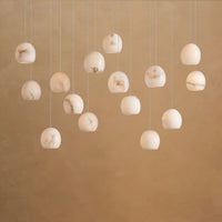 Aquilene Rectangular Chandelier 15/30 Light