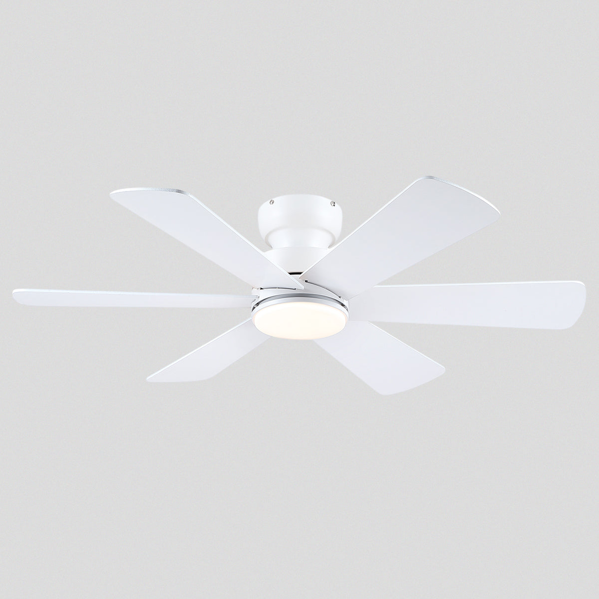 Celestial Wind Ceiling Fans with Lights