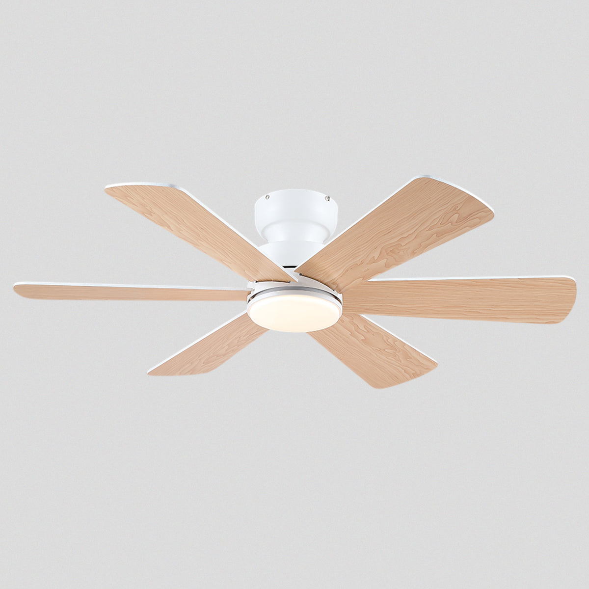Celestial Wind Ceiling Fans with Lights