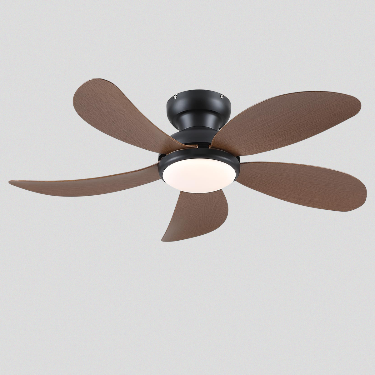 Graceshire contemporary ceiling fan