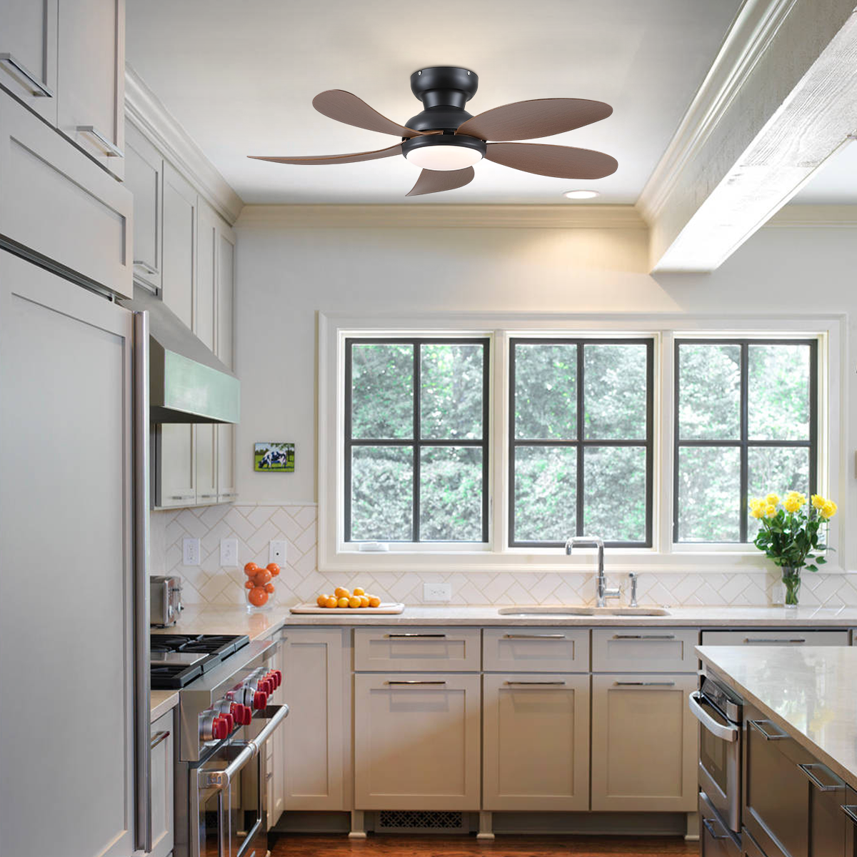 Graceshire contemporary ceiling fan