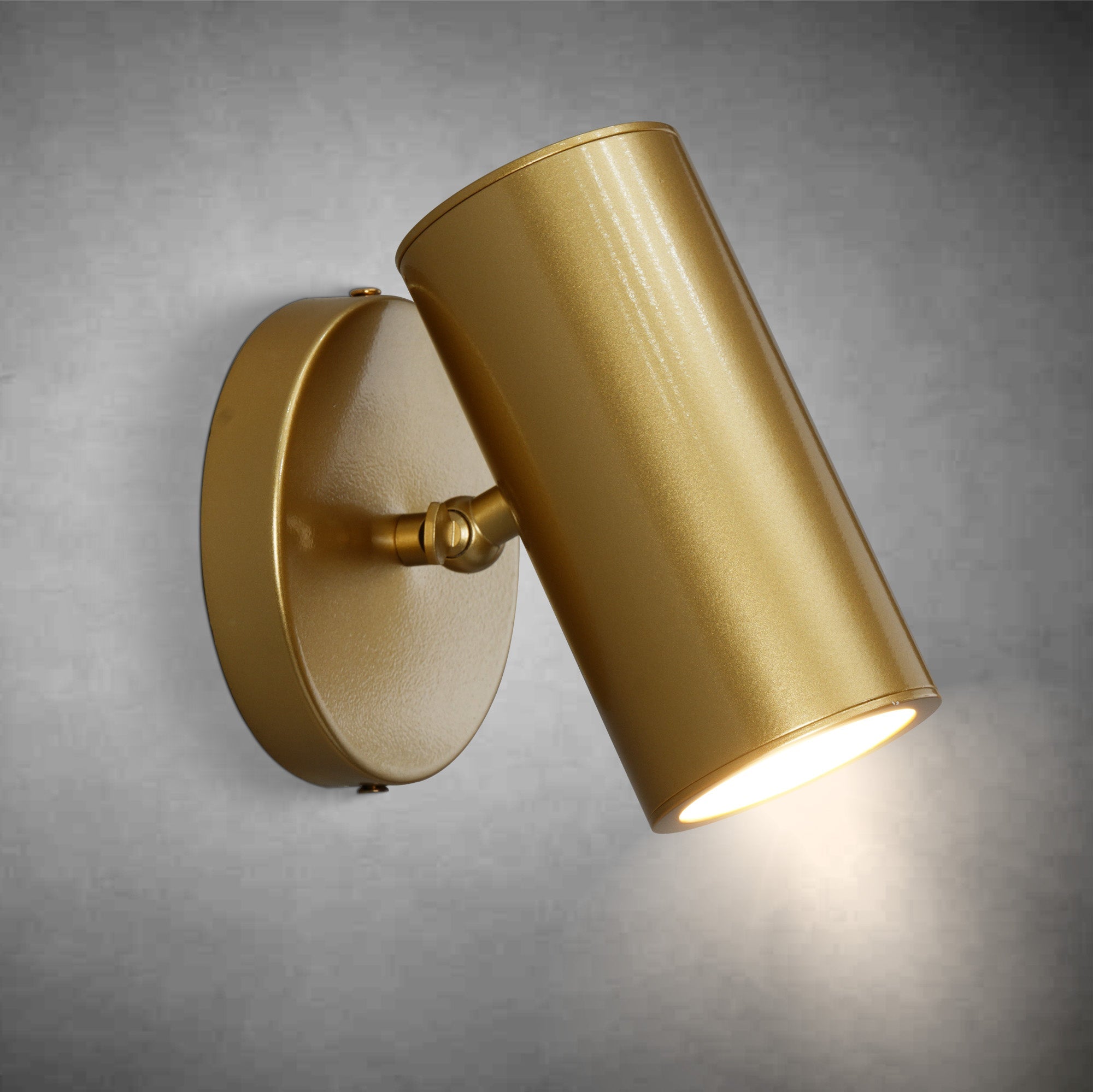 Gold Brass Picture Light Sconce with Adjustable LED