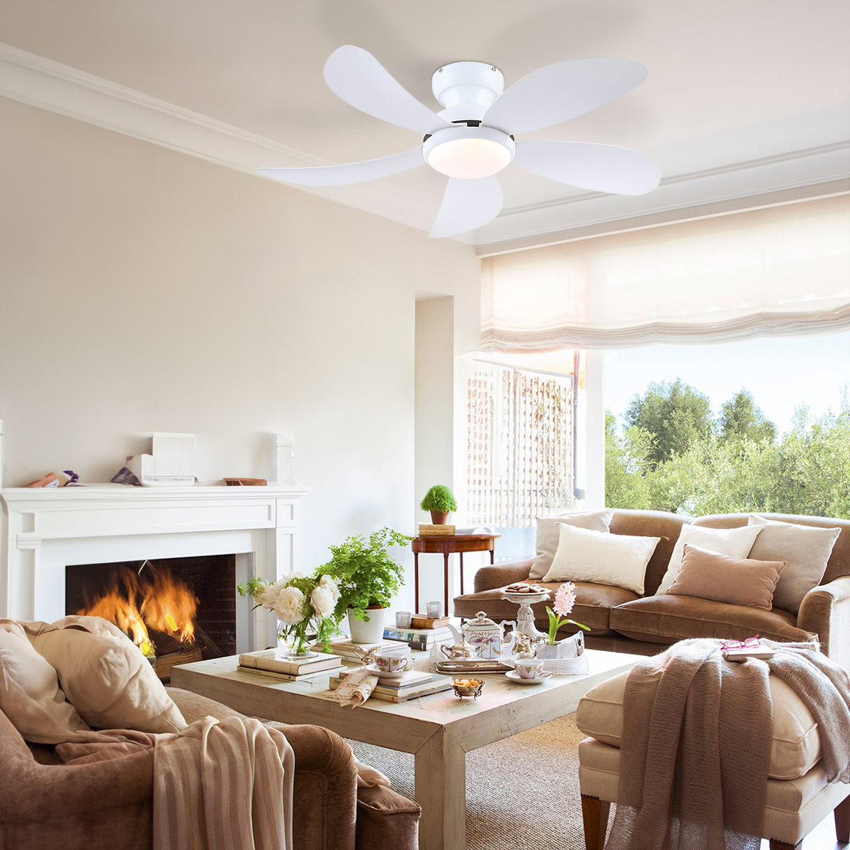 Graceshire contemporary ceiling fan
