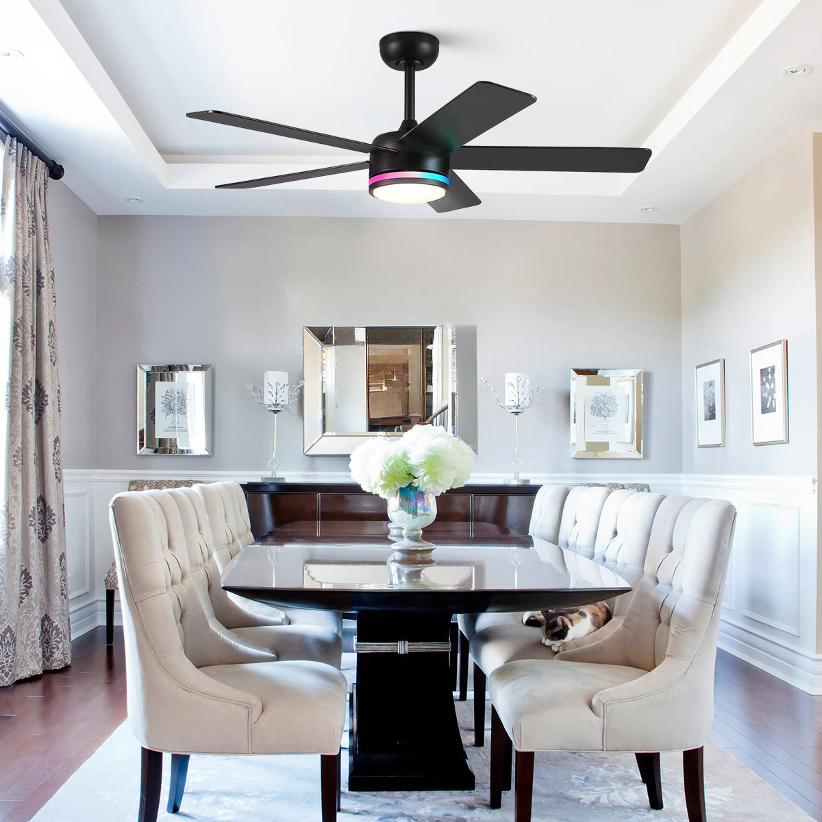 RGB Modern Black Ceiling Fan Light