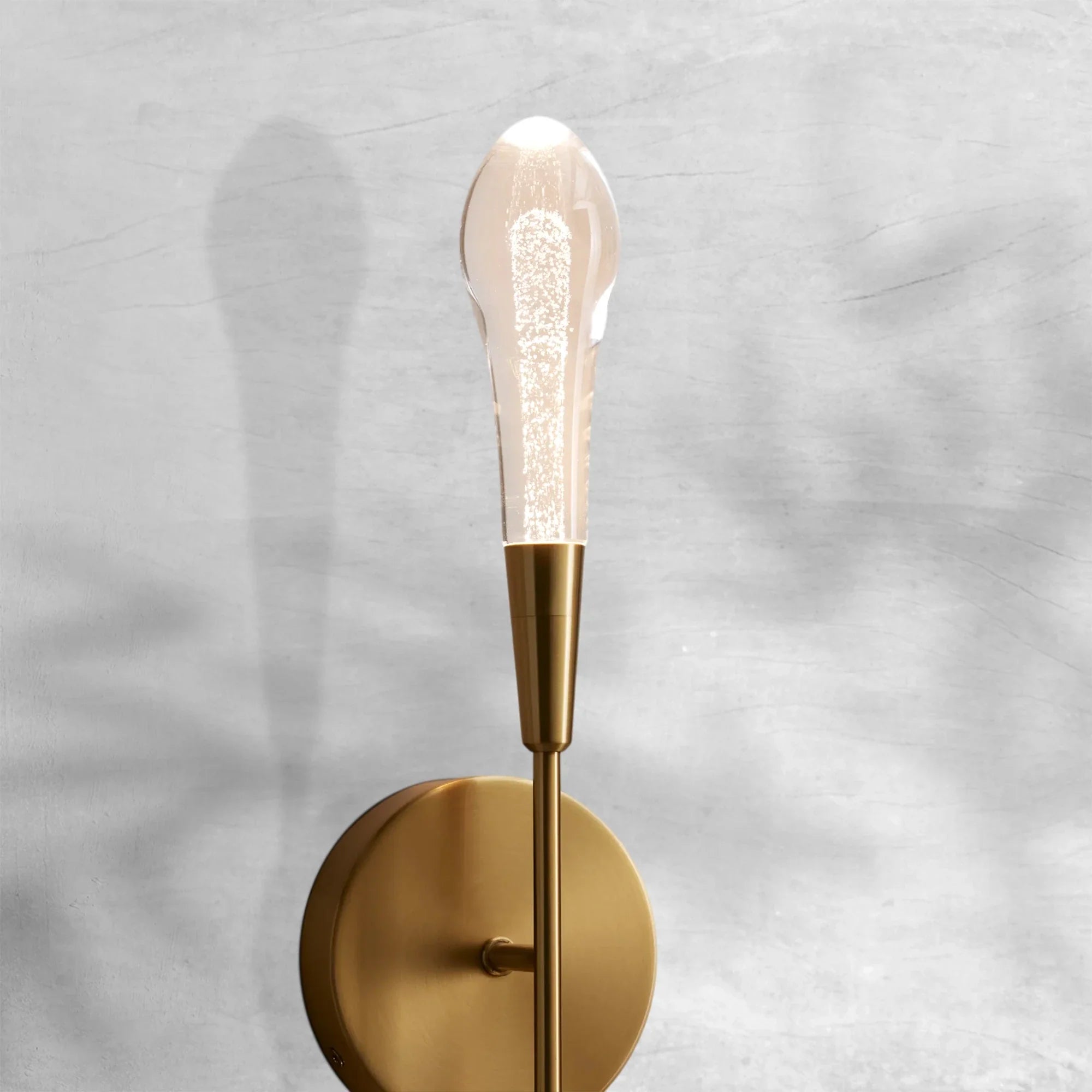 Elegant Soltaire Double Sconce with LED and Brass Finish