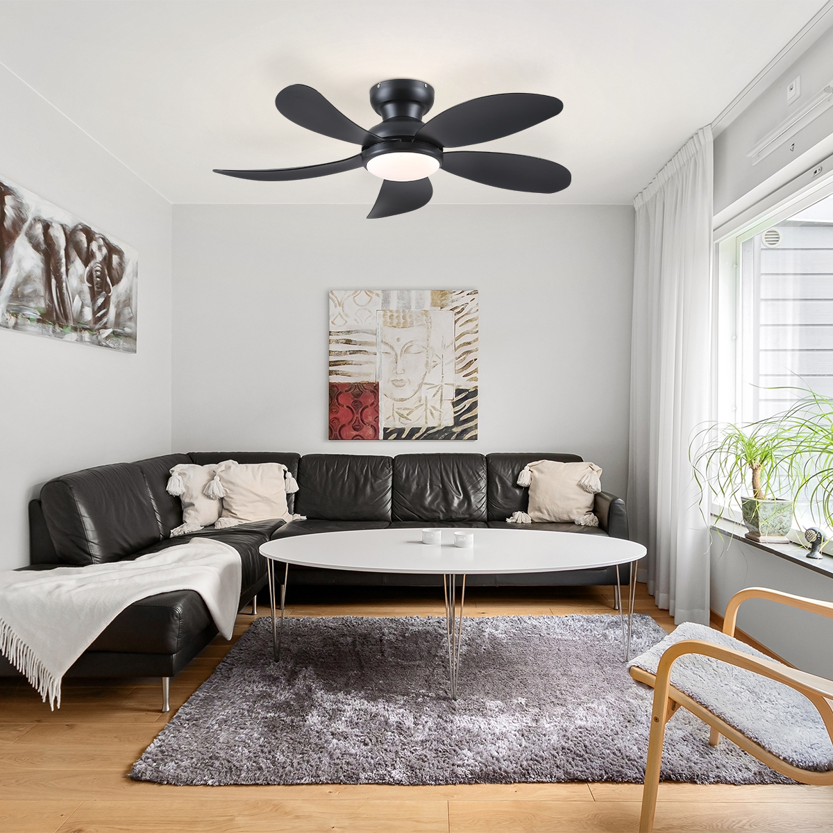 Graceshire contemporary ceiling fan
