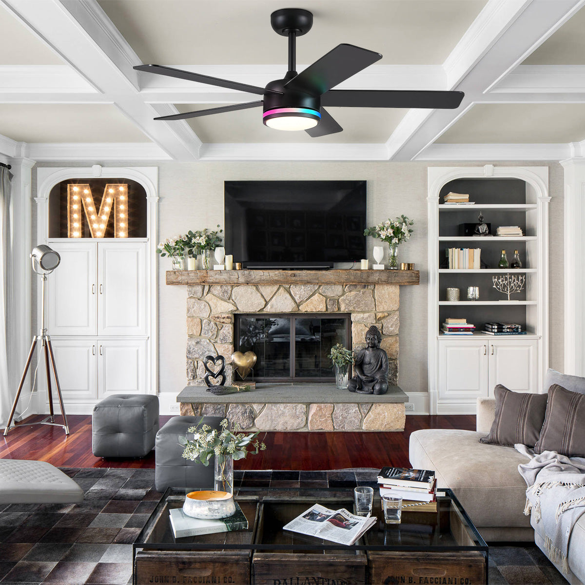 RGB Modern Black Ceiling Fan Light