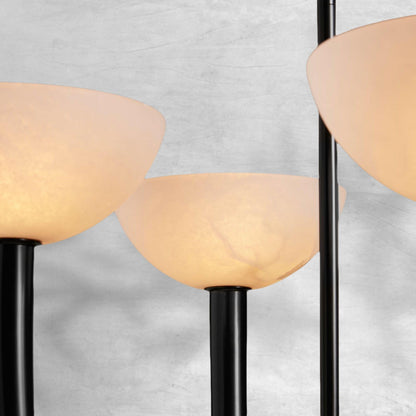 Salviera Chandelier