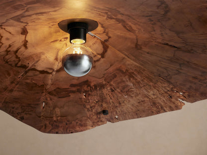 Alcanta Chandelier