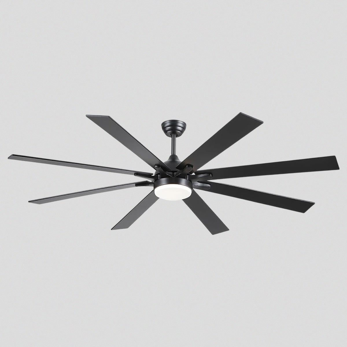 Ventora Fans with Lights