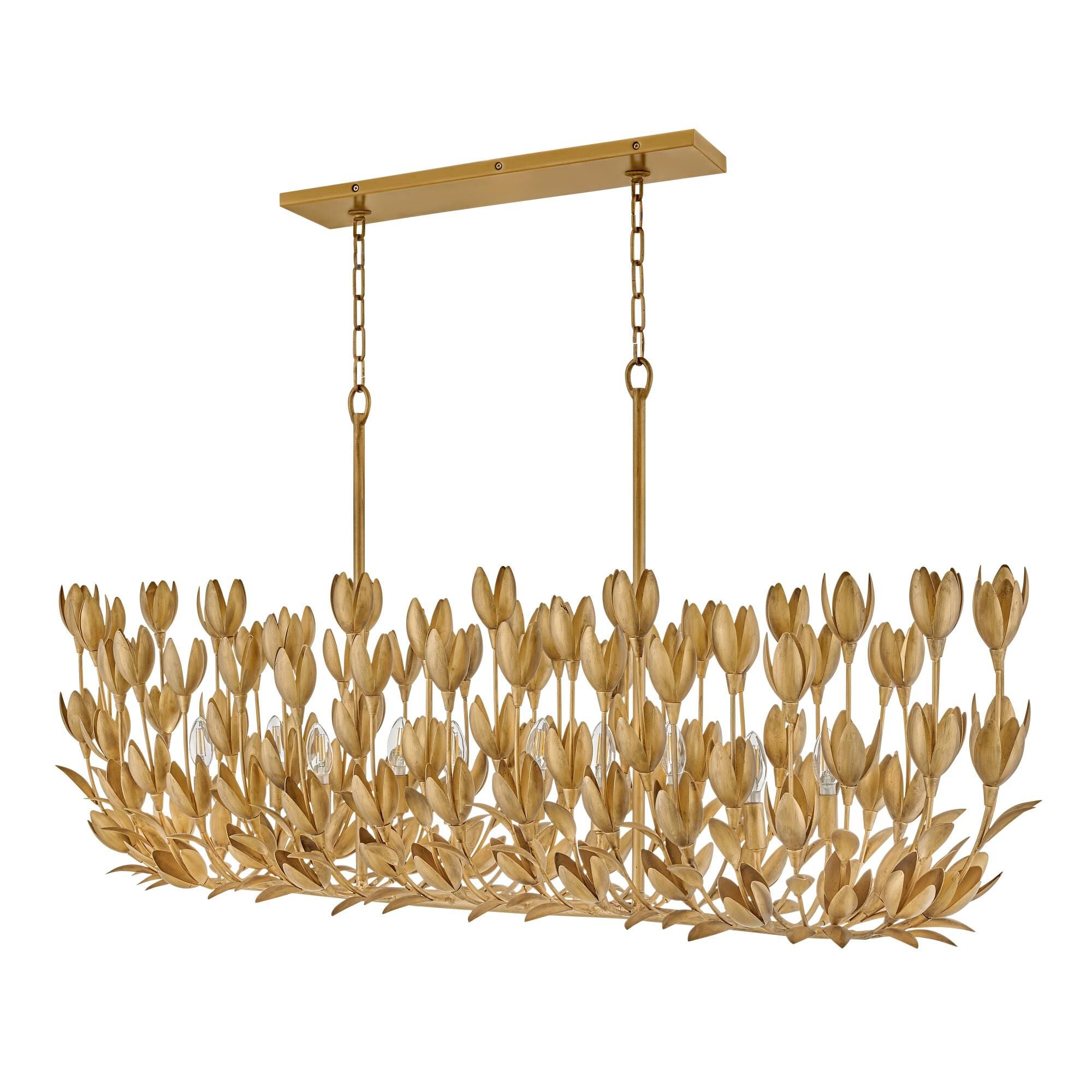 https://www.1800lighting.com/dw/image/v2/BCFP_PRD/on/demandware.static/-/Sites-masterCatalog_capitollighting/default/dwb1f061aa/images/original/Hinkley-Lighting_30015BNG_alt1.jpg?sw=2000&sh=2000&sm=fit